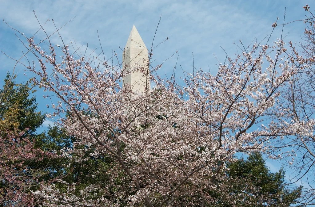 Speech—The United States Court of Appeals for Veterans Claims: The Newest Federal Court Experiment, Past, Present, and Future